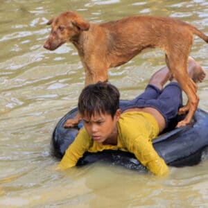 Viet .. “A Heartwarming Tale: 7-Year-Old’s Compassion Saves Stray Dog, Illustrating the Power of Empathy”.. Viet