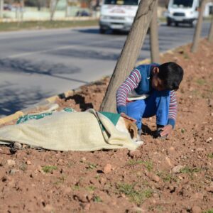 boy helped a stray dog ​​