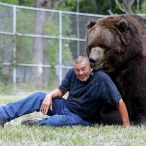 S16 Social Media Sensation: New York Man’s Close Encounter with Massive Bear Sparks Online Frenzy S16