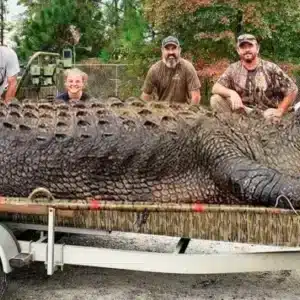 Ls “” Terrifying Encounter: Enormous 48-foot Crocodile Shocks Tourists On The Amazon River In An Unexpected Fashion””