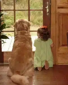 Al Every Day At 5 P.m., A Heartwarming Ritual Takes Place As Ollie, The Dog, Anticipates The Arrival Of Its 5-year-old Friend On The Balcony. Together, They Share In The Delight Of Welcoming The Child’s Mother Home From Work.