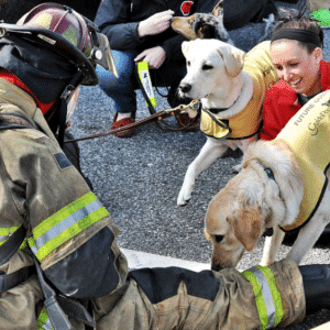 kem.The mission of brave and intelligent dogs trained to search and assist in house fires and earthquakes.