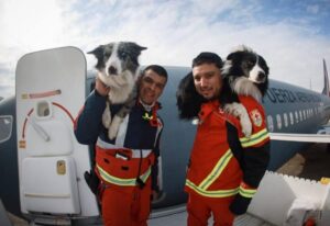 Viet ..”Heroic Dog’s Remarkable Bravery in Assisting the Rescue Team Leaves Hearts Full of Awe.”.. Viet