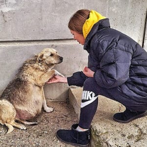 SA. “Heartwarming Story: Abandoned, Pregnant Dog’s 10km Journey for Help Inspires Compassionate Young Girl to Lead Rescue Mission, Ensuring Comfort and a Bright Future for the Expectant Canine Mother.”.SA