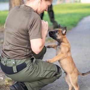 LS ””Doggy, a small abandoned puppy, followed a police officer for 15 kilometers, employing cute gestures to persuade the officer to take him in. The touching moment warmed the hearts of the online community.”