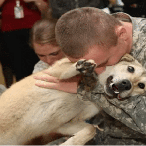 Viet ..Old dog cries tears of joy at owner’s return from war.. Viet