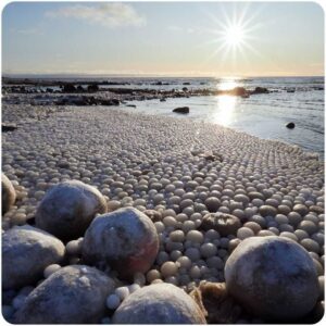 AK “Rare and Breathtaking: Thousands of ‘Ice Eggs’ Discovered on Finnish Beach, Unveiling a Nature’s Extraordinary Phenomenon.”