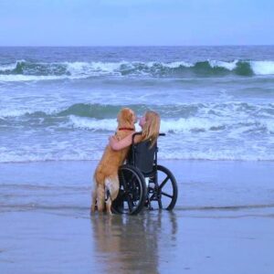 binh. Sona, the dog, went to great lengths to push her owner’s wheelchair, enabling them to reach the seaside and fulfill a woman’s dream of seeing the ocean. The heartwarming video has touched people worldwide.