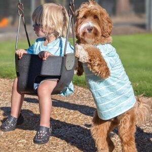 k2 The simple and pure everyday joys of a 5-year-old boy and his adorable furry dog companion delight many people.